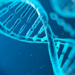 14 fautes d’orthographe fréquentes (et impardonnables !) que l’on voit partout, surtout sur Facebook