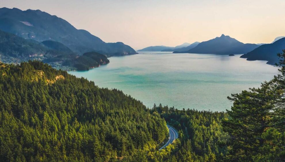 L'économie : comprendre les mécanismes et les défis du monde moderne - économie