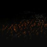 Trump et l’Impact sur les Marchés Financiers : Une Analyse des Conséquences Économiques en 2026